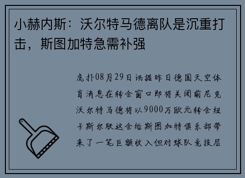 小赫内斯：沃尔特马德离队是沉重打击，斯图加特急需补强